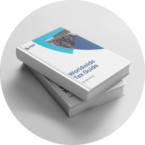 Worldwide Tax Guide 2025/2026