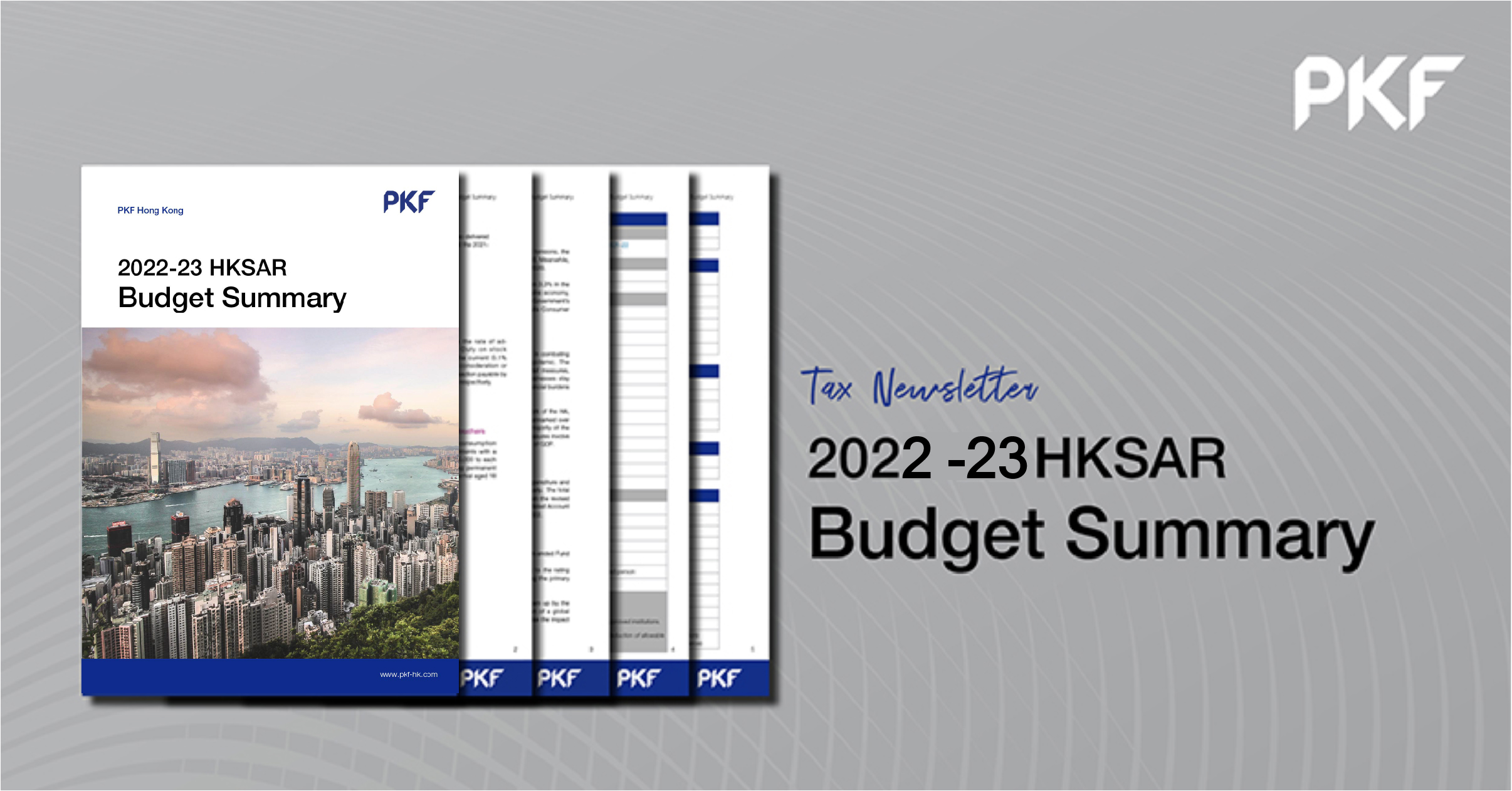 2022-2023 Hong Kong Budget Summary