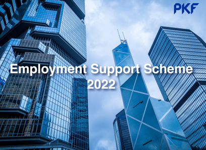 Employment Support Scheme 2022