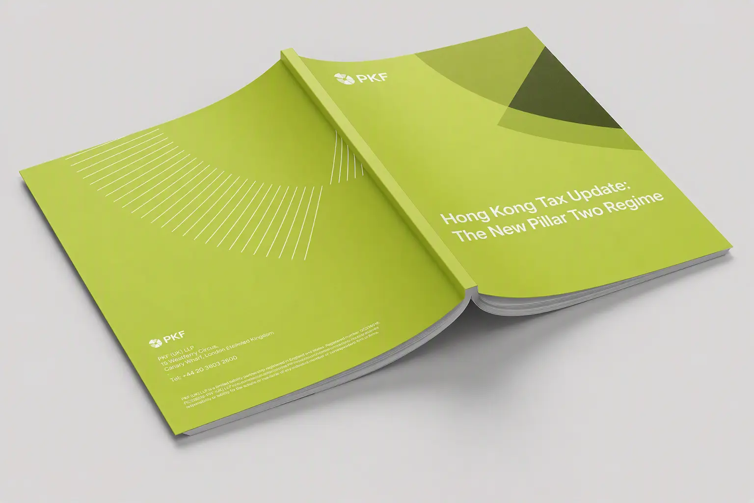 Hong Kong Tax Update: The New Pillar Two Tax Regime