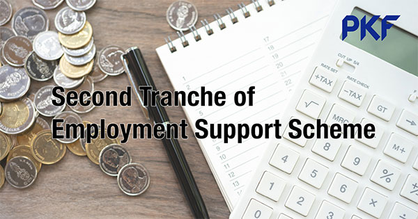 Second Tranche of Employment Support Scheme