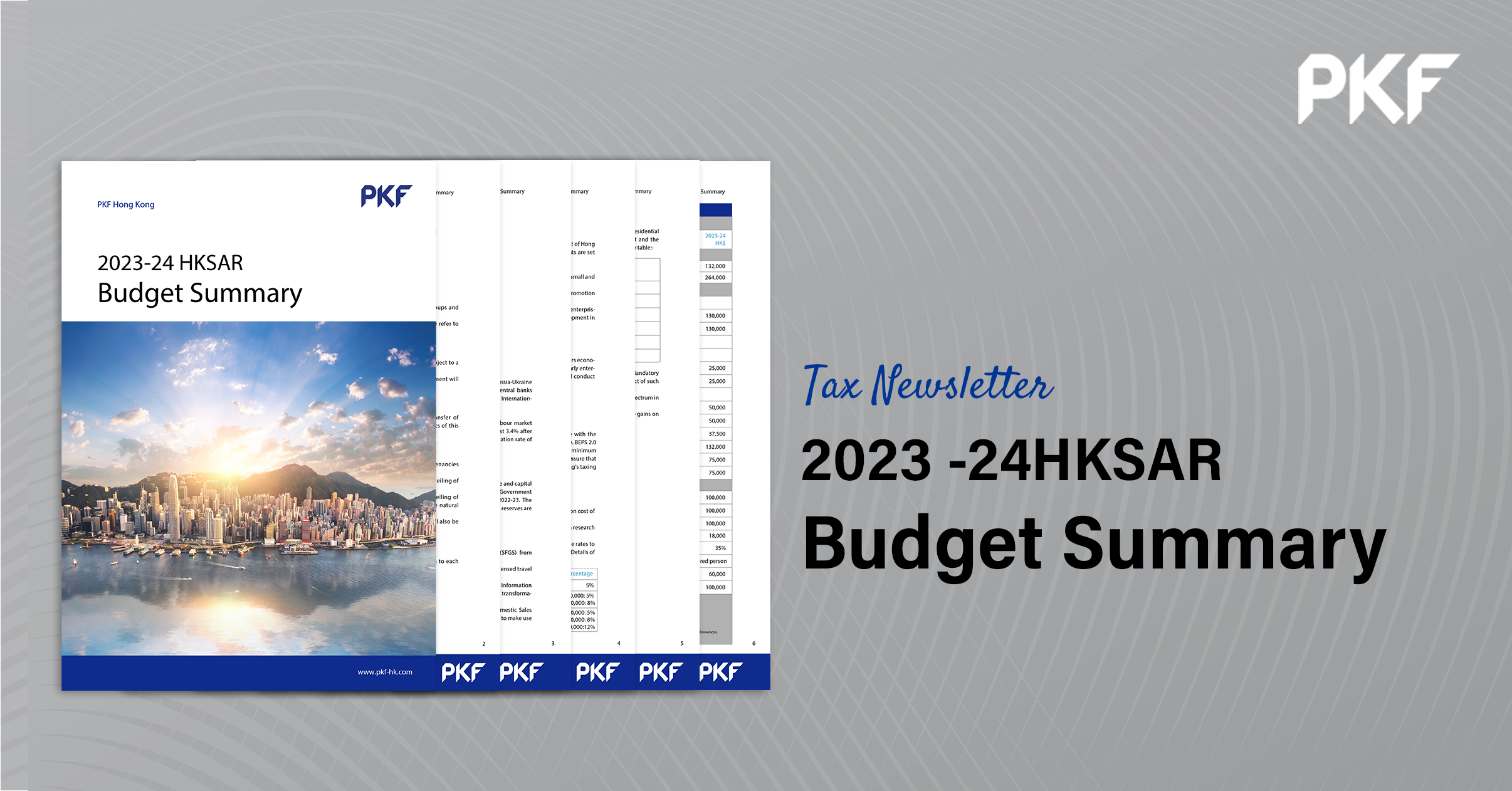 2023-2024 Hong Kong Budget Summary